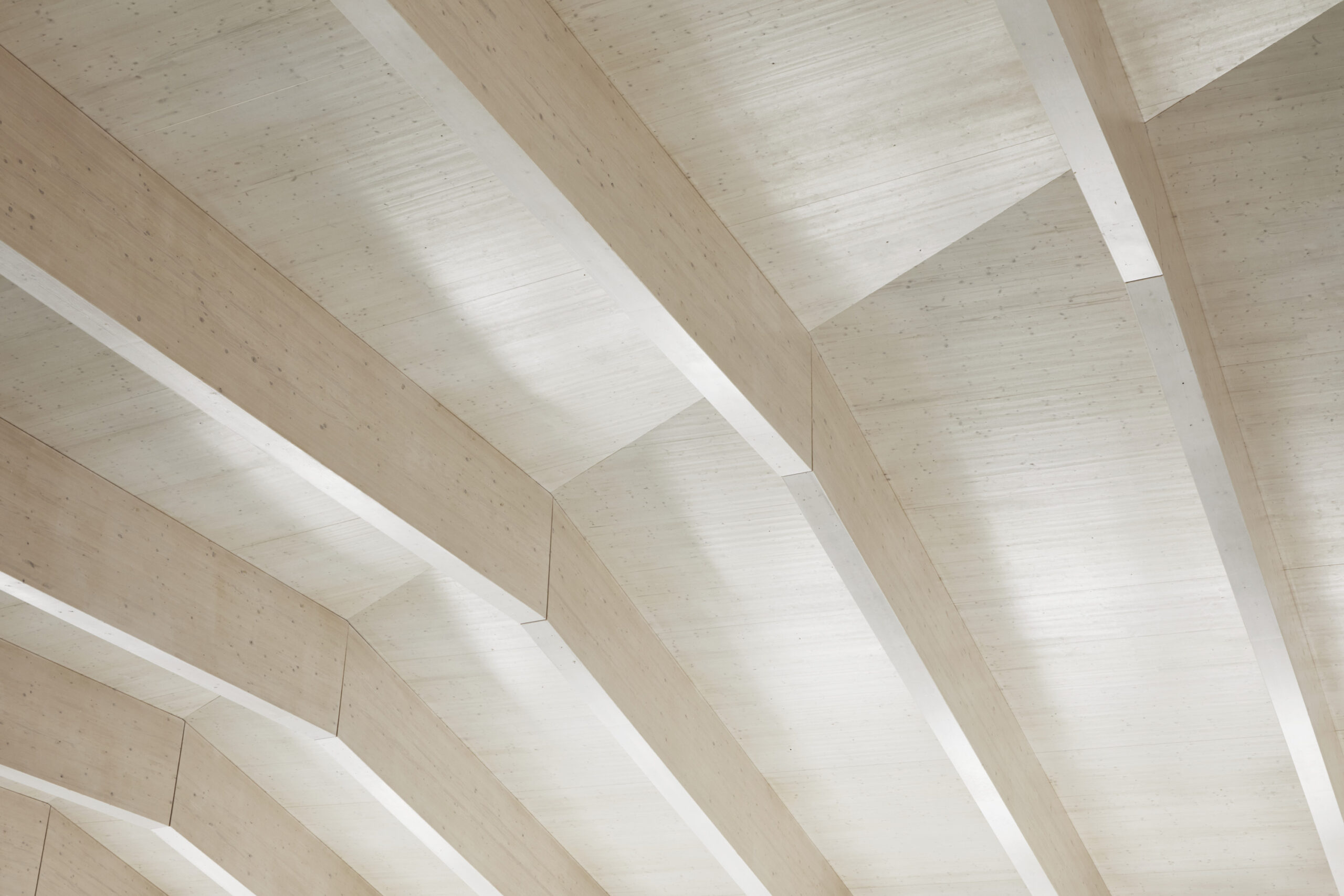 Detail interior shot of the timber roof in the swimming pool space