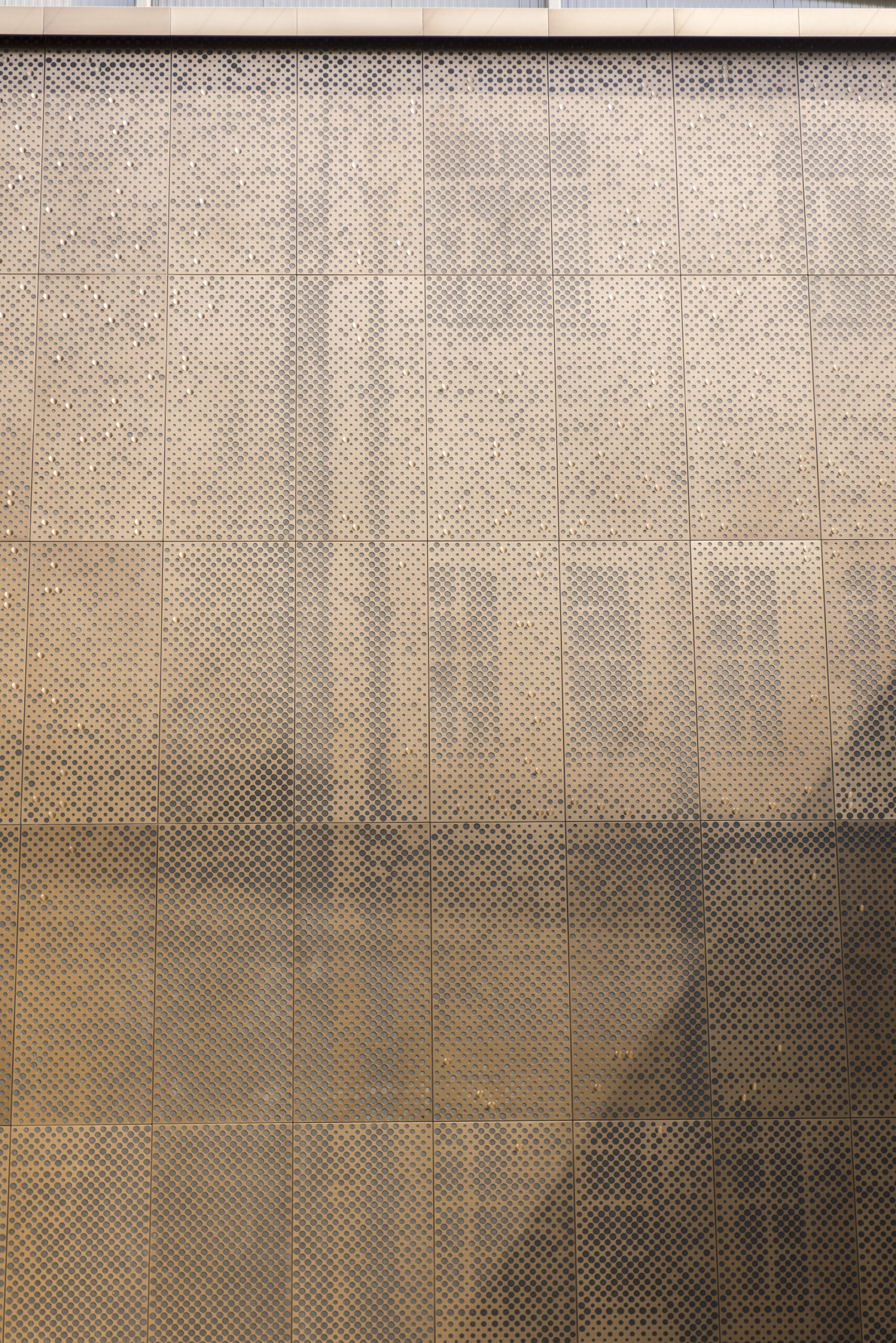 Interior shot showing panels on the wall at Hackney Town Hall